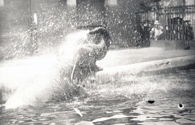 Indischer Elefant beim Baden, 1923